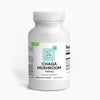 Chaga Mushroom
